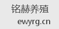 铭赫养殖
