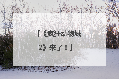 《疯狂动物城2》来了！