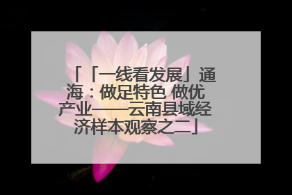 「一线看发展」通海：做足特色 做优产业——云南县域经济样本观察之二