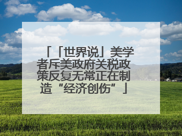 「世界说」美学者斥美政府关税政策反复无常正在制造“经济创伤”