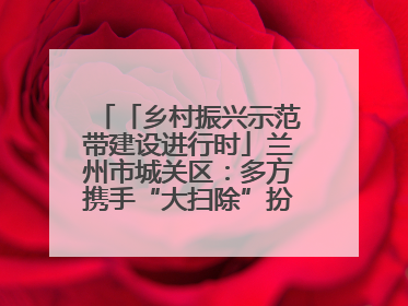 「乡村振兴示范带建设进行时」兰州市城关区：多方携手“大扫除”扮靓乡村“颜值”