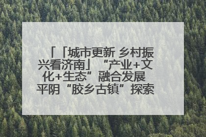 「城市更新 乡村振兴看济南」“产业+文化+生态”融合发展 平阴“胶乡古镇”探索振兴路径成效显著