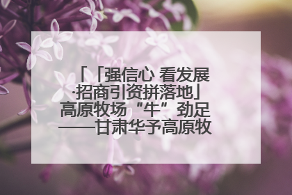 「强信心 看发展·招商引资拼落地」高原牧场“牛”劲足——甘肃华予高原牧场高标准奶牛肉牛养殖项目一线见闻