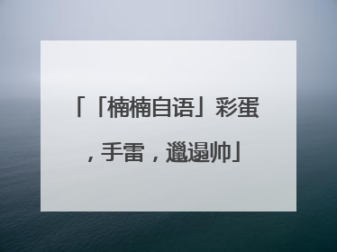 「楠楠自语」彩蛋，手雷，邋遢帅