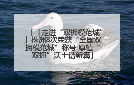 「走进“双拥模范城”」株洲8次荣获“全国双拥模范城”称号 厚植“双拥”沃土谱新篇