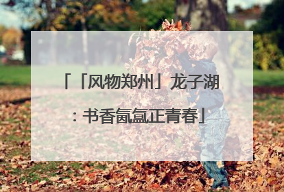 「风物郑州」龙子湖：书香氤氲正青春