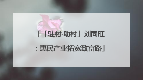 「驻村·助村」刘同旺：惠民产业拓宽致富路