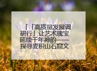 「高质量发展调研行」让艺术瑰宝延续千年神韵——探寻麦积山石窟文化遗产高质量传承保护的奥秘