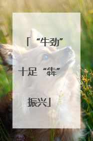 “牛劲”十足“犇”振兴