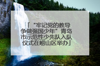 “牢记党的教导 争做强国少年”青岛市示范性少先队入队仪式在崂山区举办