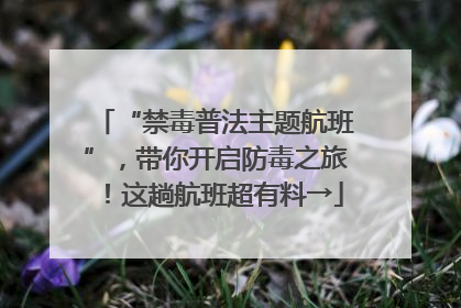 “禁毒普法主题航班”，带你开启防毒之旅！这趟航班超有料→