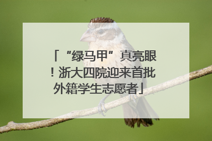 “绿马甲”真亮眼！浙大四院迎来首批外籍学生志愿者