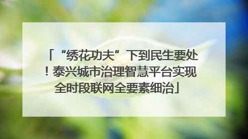 “绣花功夫”下到民生要处！泰兴城市治理智慧平台实现全时段联网全要素细治