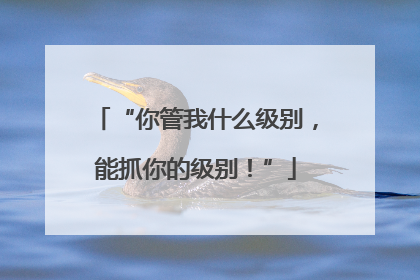 “你管我什么级别，能抓你的级别！”