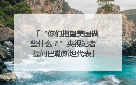 “你们指望美国做些什么？”央视记者提问巴勒斯坦代表