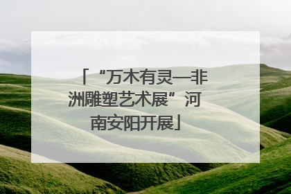“万木有灵—非洲雕塑艺术展”河南安阳开展