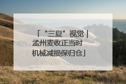 “三夏”视觉｜孟州麦收正当时 机械减损保归仓