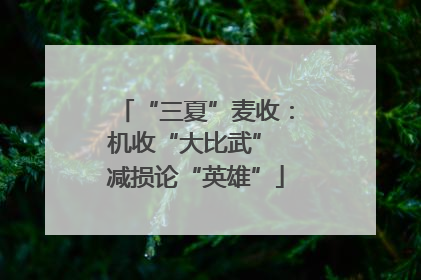 “三夏”麦收：机收“大比武” 减损论“英雄”