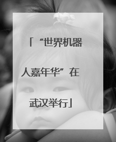 “世界机器人嘉年华”在武汉举行