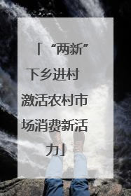 “两新”下乡进村 激活农村市场消费新活力