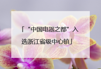 “中国电器之都”入选浙江省级中心镇