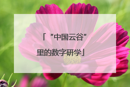 “中国云谷”里的数字研学