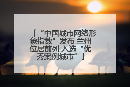 “中国城市网络形象指数”发布 兰州位居前列 入选“优秀案例城市”
