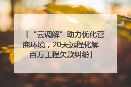 “云调解”助力优化营商环境，20天远程化解百万工程欠款纠纷