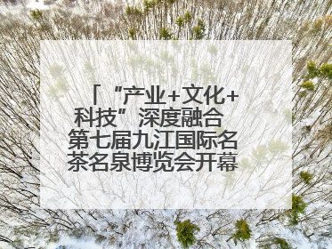 “产业+文化+科技”深度融合 第七届九江国际名茶名泉博览会开幕（组图）