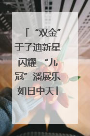 “双金”于子迪新星闪耀 “九冠”潘展乐如日中天