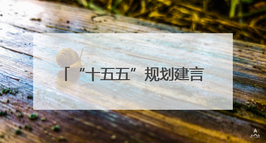“十五五”规划建言活动已收建议3227条 这些点子很赞！