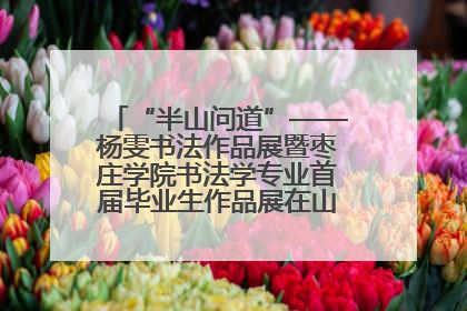 “半山问道”——杨雯书法作品展暨枣庄学院书法学专业首届毕业生作品展在山东省文化馆开幕