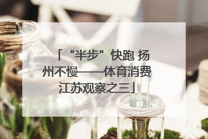 “半步”快跑 扬州不慢——体育消费江苏观察之三