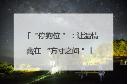 “停狗位 ”：让温情藏在 “方寸之间 ”