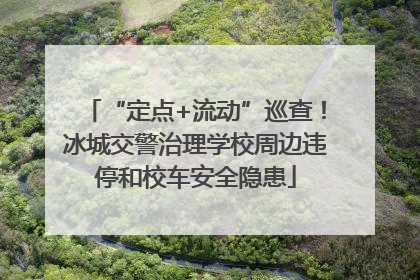 “定点+流动”巡查！冰城交警治理学校周边违停和校车安全隐患