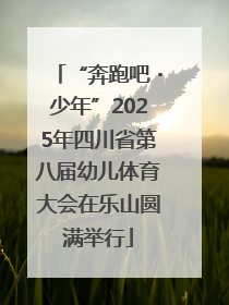 “奔跑吧・少年”2025年四川省第八届幼儿体育大会在乐山圆满举行
