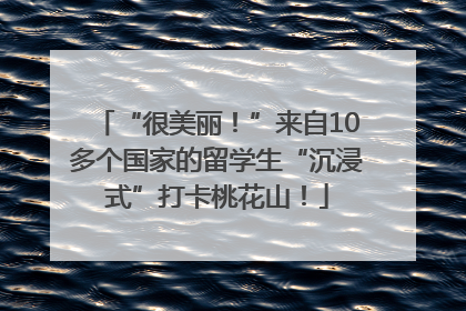 “很美丽！”来自10多个国家的留学生“沉浸式”打卡桃花山！