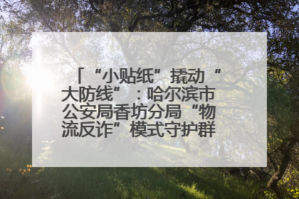 “小贴纸”撬动“大防线”：哈尔滨市公安局香坊分局“物流反诈”模式守护群众“钱袋子”