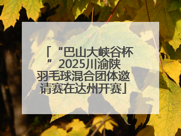 “巴山大峡谷杯”2025川渝陕羽毛球混合团体邀请赛在达州开赛