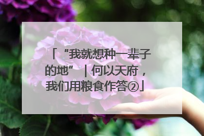 “我就想种一辈子的地”｜何以天府，我们用粮食作答②