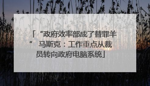 “政府效率部成了替罪羊” 马斯克：工作重点从裁员转向政府电脑系统