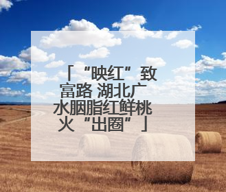 “映红”致富路 湖北广水胭脂红鲜桃火“出圈”