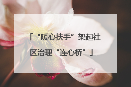 “暖心扶手”架起社区治理“连心桥”