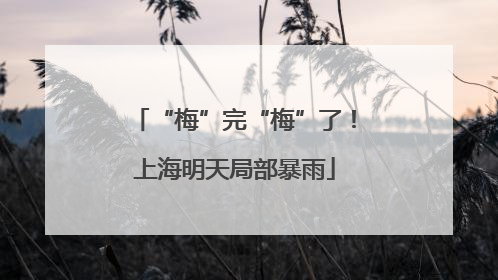 “梅”完“梅”了！上海明天局部暴雨
