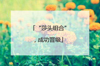 “莎头组合”，成功晋级