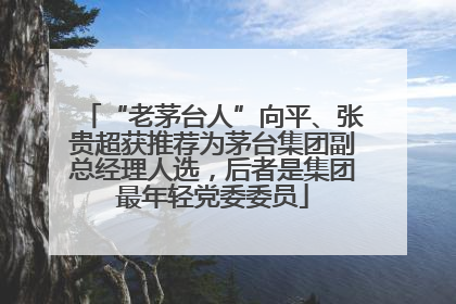“老茅台人”向平、张贵超获推荐为茅台集团副总经理人选，后者是集团最年轻党委委员