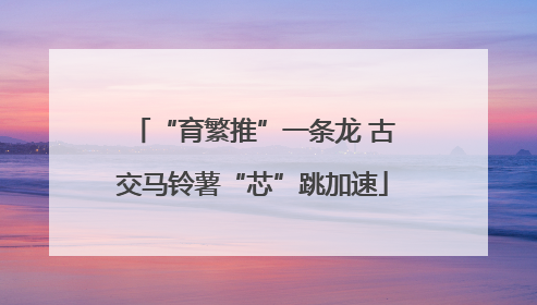 “育繁推”一条龙 古交马铃薯“芯”跳加速