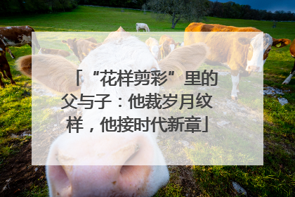 “花样剪彩”里的父与子：他裁岁月纹样，他接时代新章