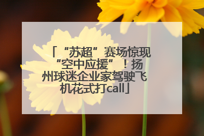 “苏超”赛场惊现 “空中应援”！扬州球迷企业家驾驶飞机花式打call
