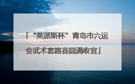“英派斯杯”青岛市六运会武术套路赛圆满收官